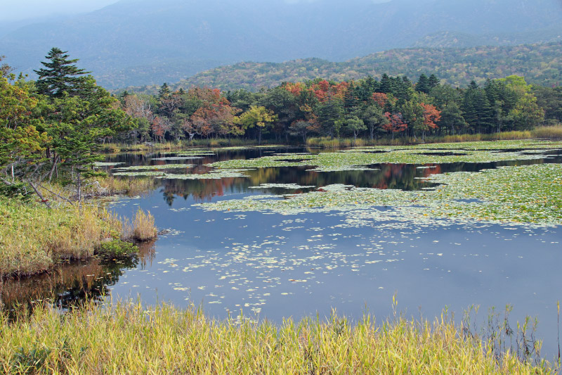知床一湖-1-1.jpg