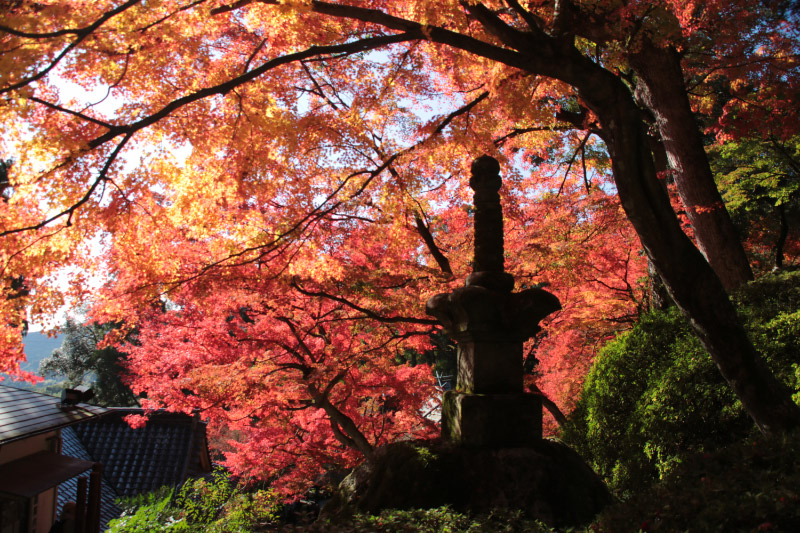 大興善寺-1-1.jpg