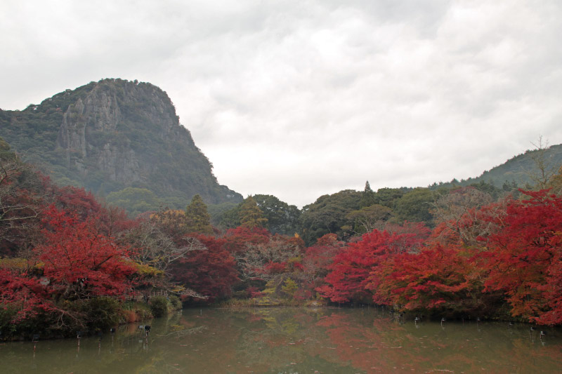 御船山楽園-1-1.jpg