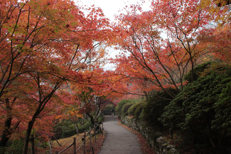 御船山楽園-1-2.jpg