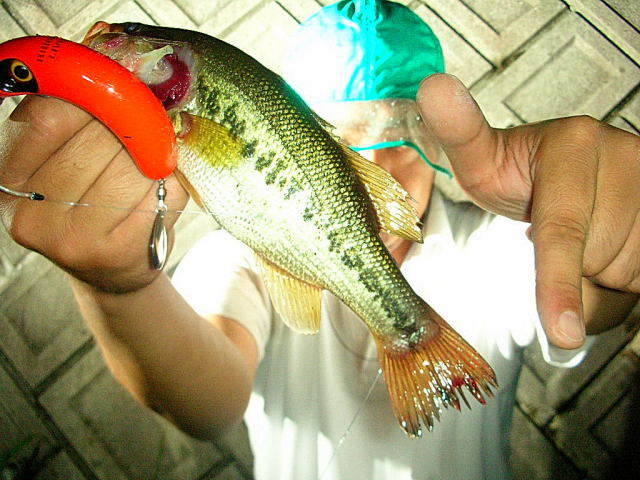 LIVER FS-41Bも、間もなくです。 | Brightliver Tackle.co