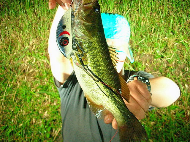 Chubby stage 2 発表！ | Brightliver Tackle.co. | マツモト