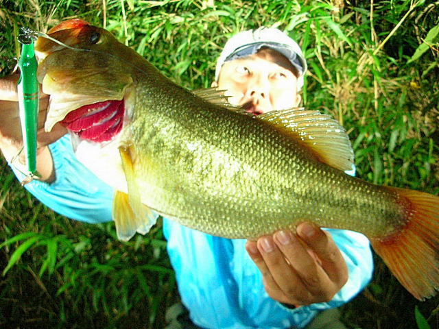 さよなら、ビキニ。 | Brightliver Tackle.co. | マツモト