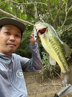 LIVER FM-53B もうすぐ。 | Brightliver Tackle.co. | マツモト LIVER FM-53B もうすぐ。 | Brightliver Tackle.co. | マツモト