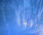 20050927_28771.jpg