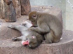 のんびり行こうぜ