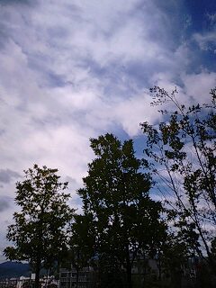 090910_1022~0001.jpg
