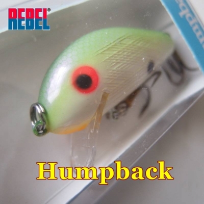 バック ハンプ