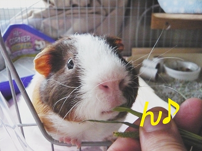 ん