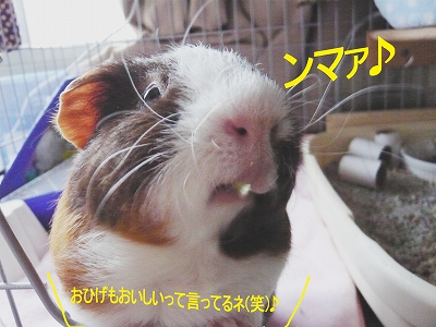 んまぁ