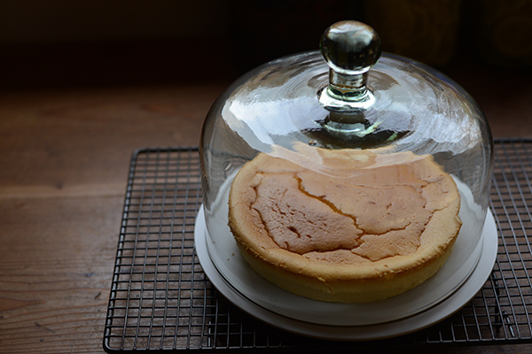 チーズケーキ7