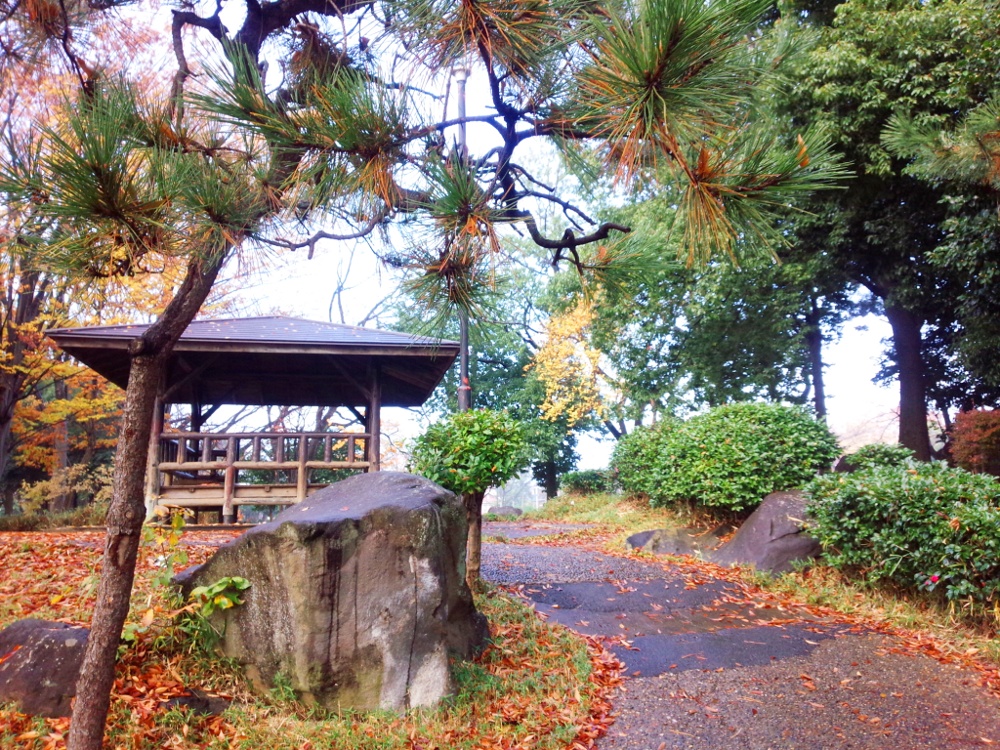 南流山中央公園