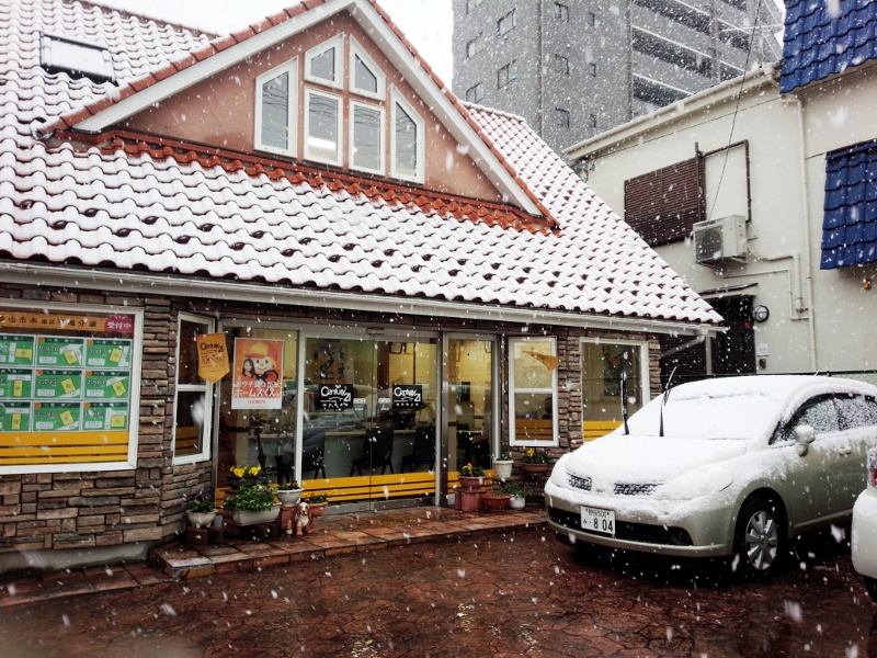 11月雪南流山積雪