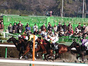 8Rのフェアウェルステークス