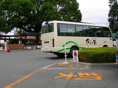 バス