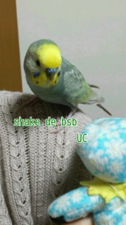 180209_201100.jpg