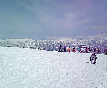 200703211344000.jpg