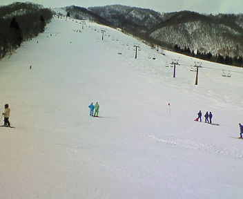 200801141144000.jpg