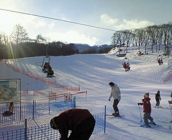 200802170810001.jpg