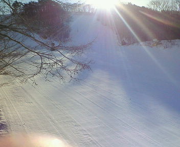 200802170901000.jpg