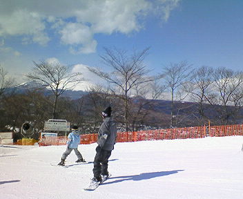 200802171332000.jpg