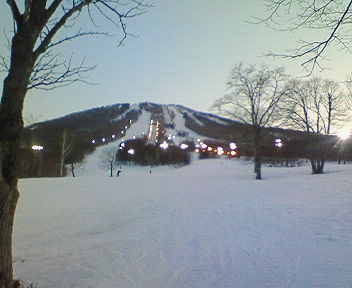 200803221741000.jpg