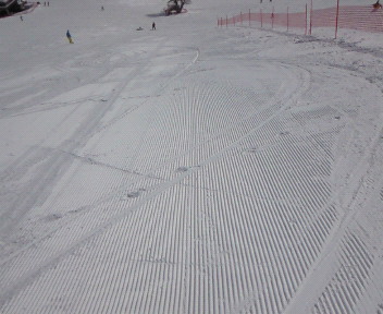 200903150950000.jpg