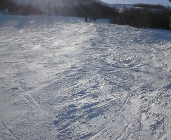 200903151525000.jpg