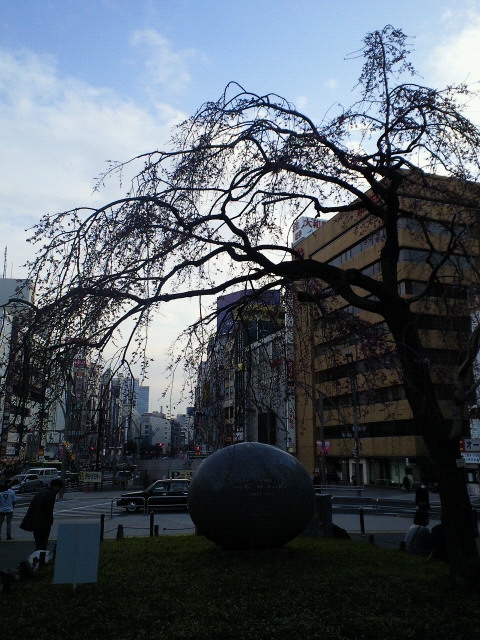 201103201657000.jpg