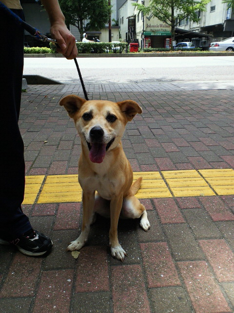 201107151157000.jpg