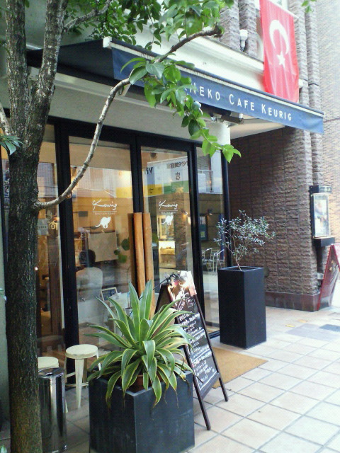 201107151833000.jpg