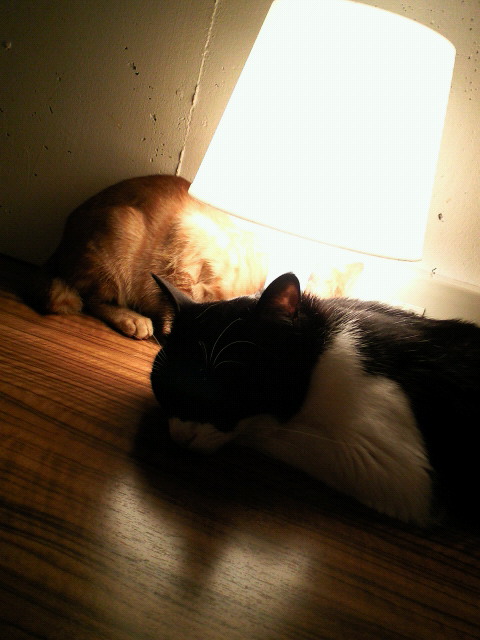 201107151844000.jpg