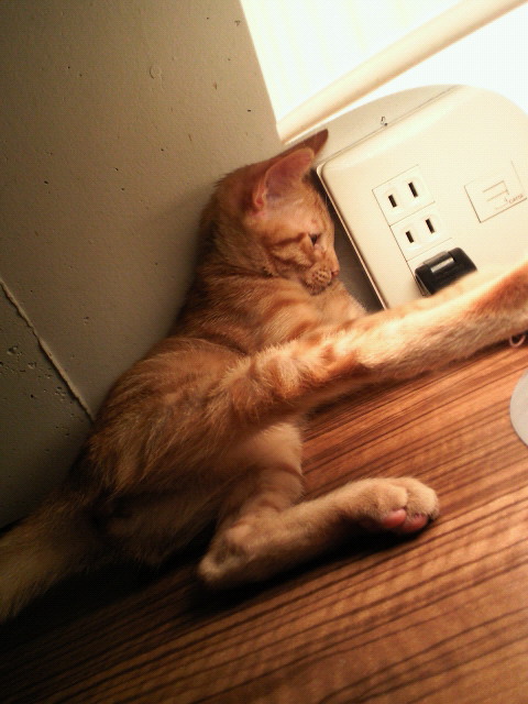 201107151848000.jpg