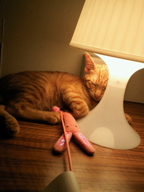 201107151853000.jpg