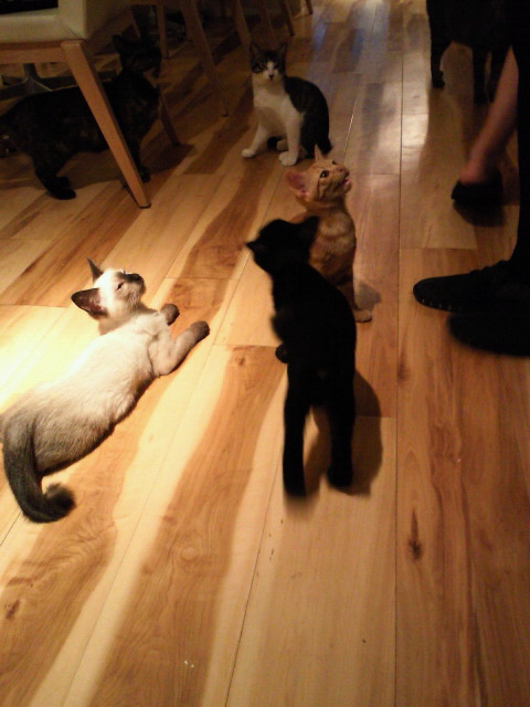 201107151857000.jpg