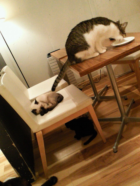 201107151854001.jpg