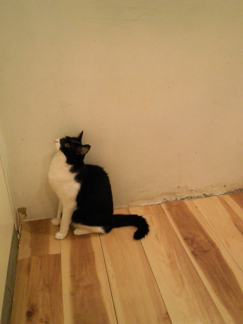 201107151903000.jpg