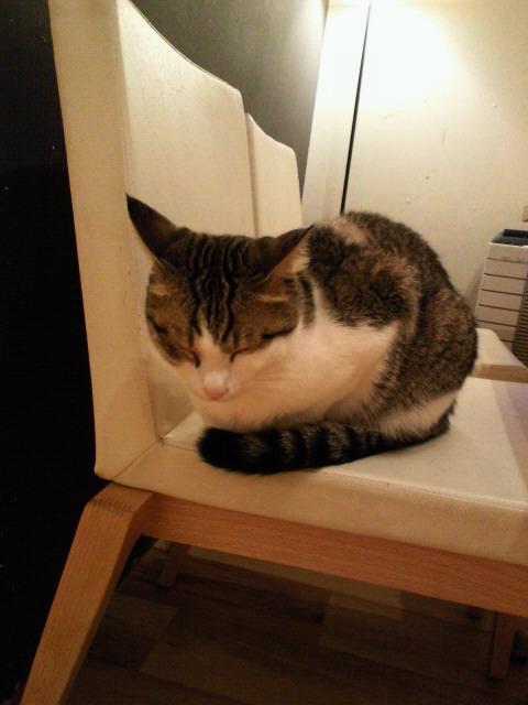 201107151903001.jpg