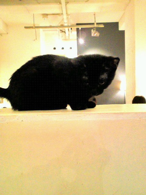 201107151837000.jpg
