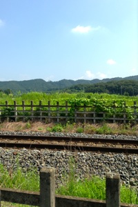 太田市 家造り