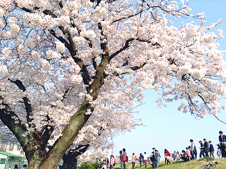 東京 建築家