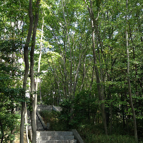 大学