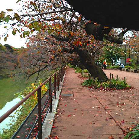 東京 建築家