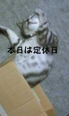 GRP_0024.JPG
