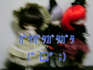 SN3D09870001.jpg