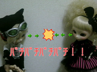 SN3D10150001.jpg