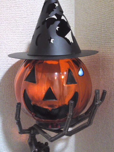 mini_111122_001200010001.jpg