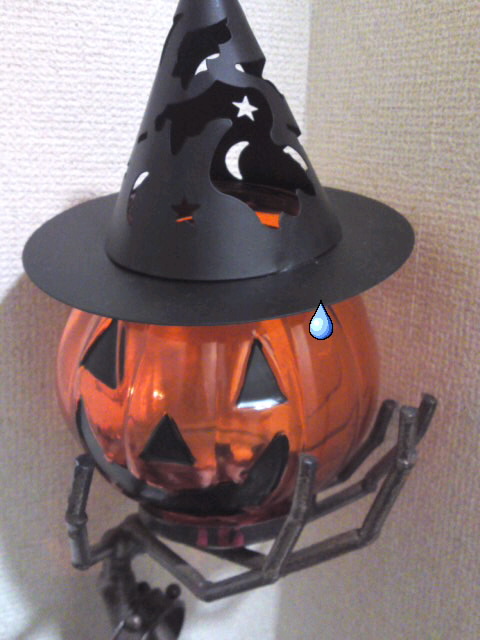 mini_111122_00140002.jpg