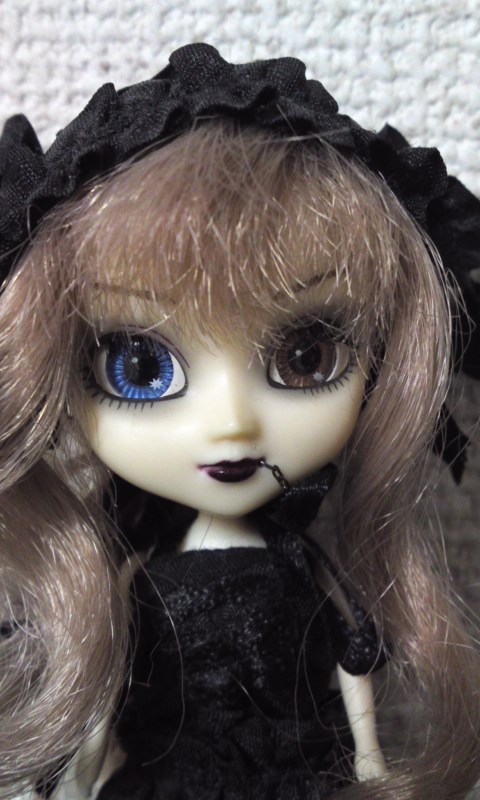 111216_1607~01.jpg