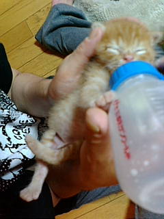 20080605230009.jpg